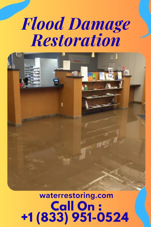 Flood Damage Restoration in Hempstead, TX