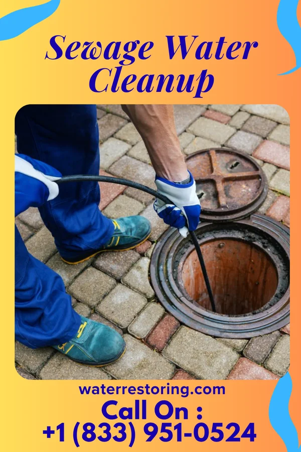 Sewage Water Cleanup in Hempstead, TX